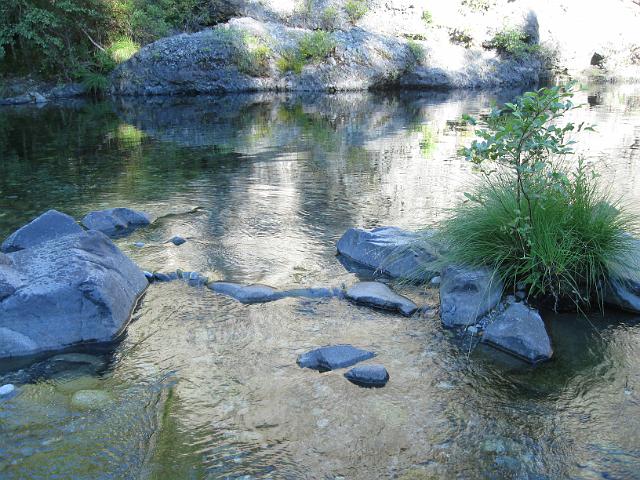 Bolan Mt & Redwoods-182.JPG - Panther Flat Camp